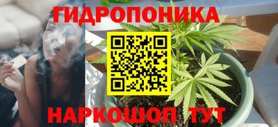 не бодяженный Будённовск
