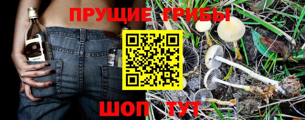 Псилоцибиновые грибы прущие грибы Минусинск